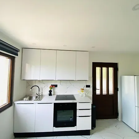 Daria * بوستيرا