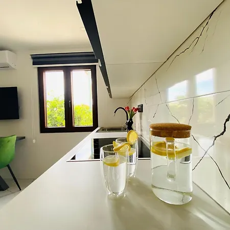 Daria * بوستيرا